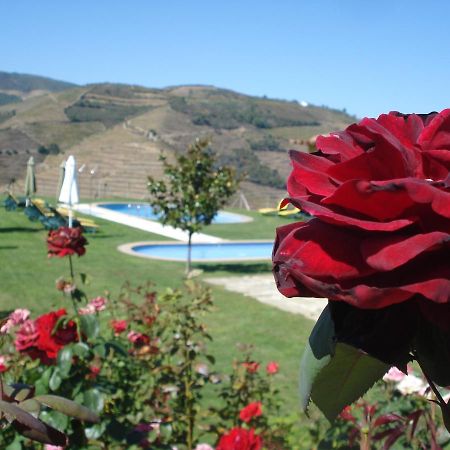 Hotel Rural Da Quinta Do Silval Vale de Mendiz Zewnętrze zdjęcie