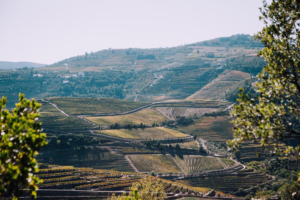 Hotel Rural Da Quinta Do Silval Vale de Mendiz Zewnętrze zdjęcie