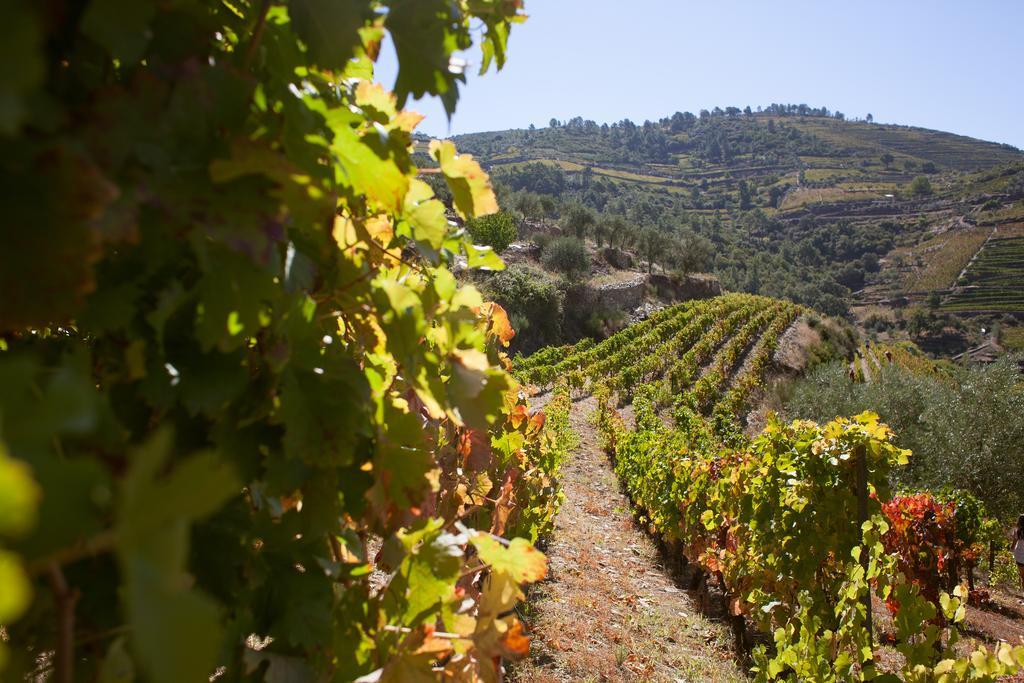 Hotel Rural Da Quinta Do Silval Vale de Mendiz Zewnętrze zdjęcie